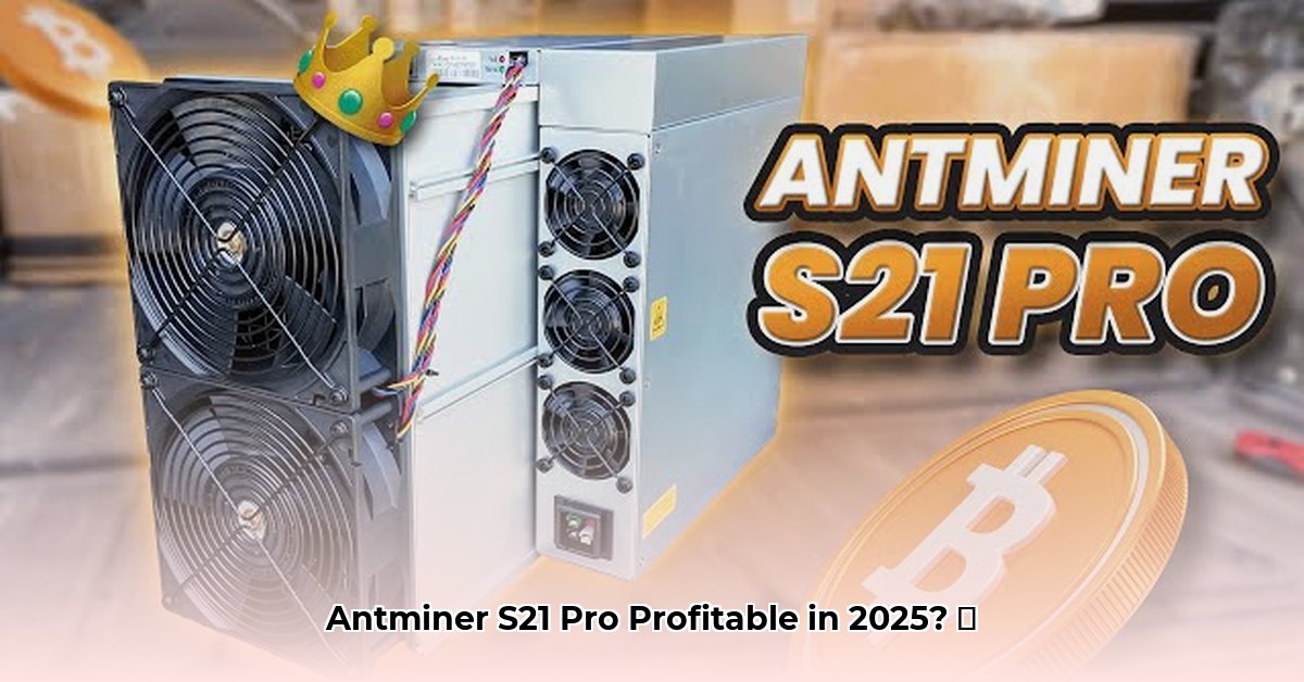 antminer-s21-pro-profitability